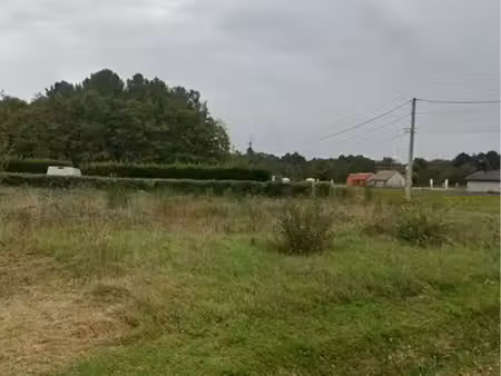 terrain à louer gievre