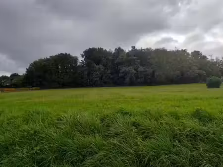 vente terrain 740 m² à romagne (33760)  57 000 €