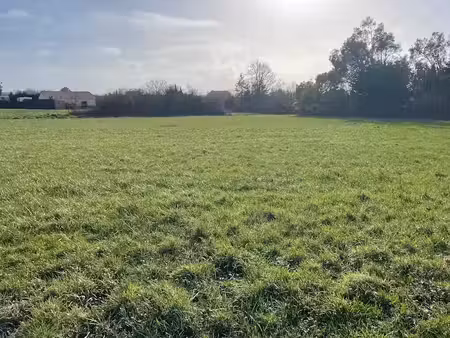 vente terrain 368 m² à villeneuve-en-retz (44580)  62 000 €