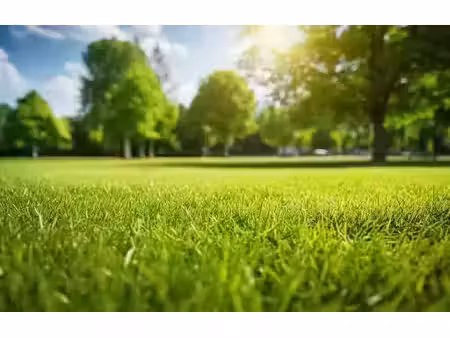 vente terrain 1679 m² à foncquevillers (62111)  58 000 €