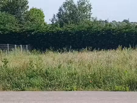 vente terrain 523 m² à mametz (62120)  57 230 €