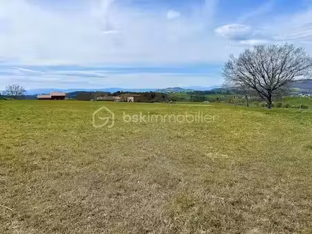 vente terrain 1920 m² à sugères (63490)  61 000 €