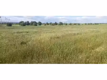 vente terrain 842 m² à azille (11700)  67 000 €