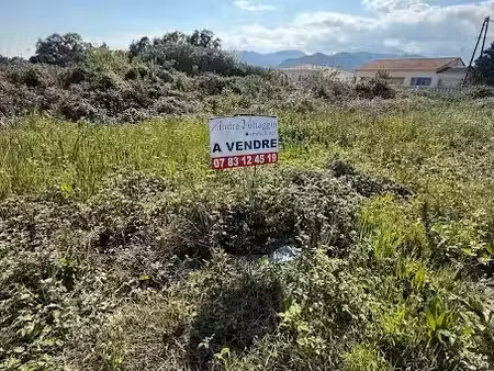 vente terrain à batir 709 m² à prunelli-di-fiumorbo (20243)  69 000 €
