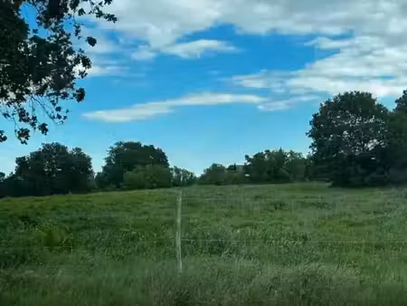 vente terrain 343 m² à blauzac (30700)  77 900 €