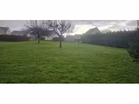 vente terrain 1300 m² à saint-martin-aux-buneaux (76450)  75 000 €