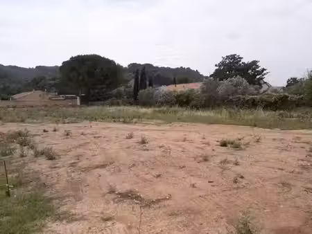 vente terrain 590 m² à cessenon-sur-orb (34460)  79 000 €