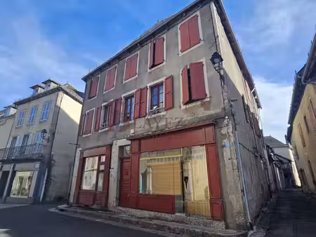 ensemble immobilier au coeur d'argentat