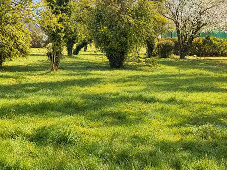 grand terrain à bâtir divisible de 2500m2 proche des commodi