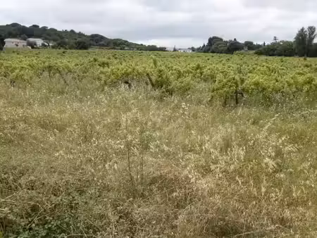 vente terrain 547 m² à bizanet (11200)  89 000 €