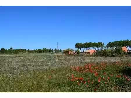 vente terrain 260 m² à maraussan (34370)  85 000 €