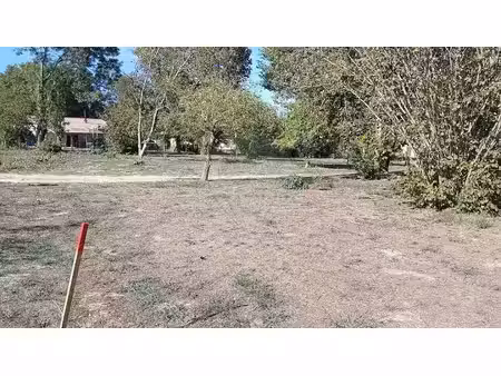 vente terrain 680 m² à saint-morillon (33650)  157 800 €