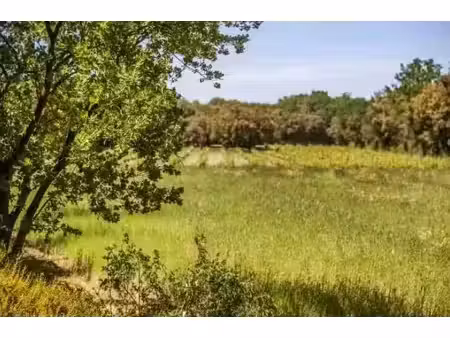 vente terrain 485 m² à arles (13200)  175 000 €