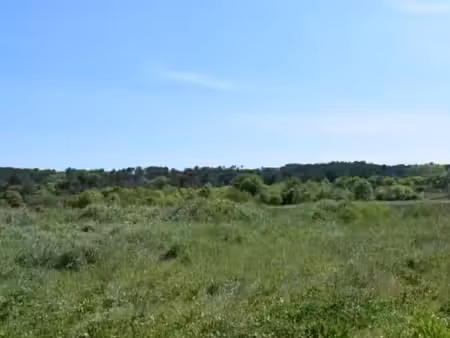 vente terrain 500 m² à galargues (34160)  181 900 €