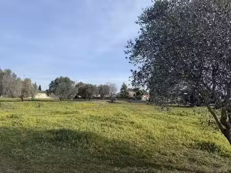 vente terrain 692 m² à roquebrune-sur-argens (83520)  259 000 €