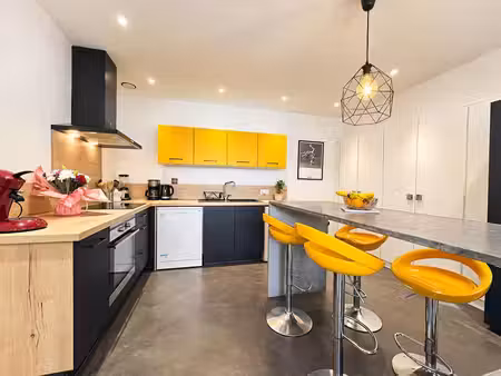 immeuble saint sebastien sur loire : commerce + 2 studios + colocation t4