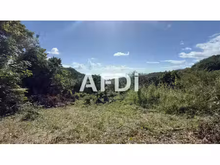 terrain constructible  696 m²  vue mer  case-pilote