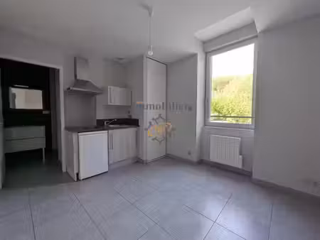 location appartement 1 pièce 17.5 m² à saint-affrique (12400)  340 €