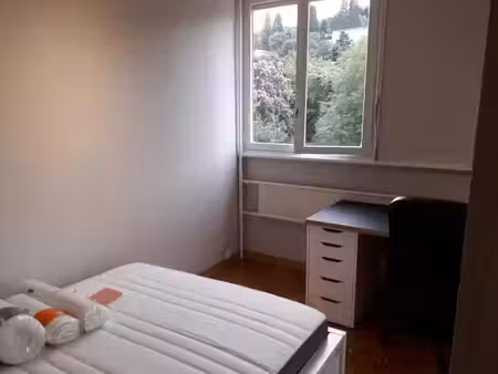location meublée appartement 1 pièce 16 m² à saint-etienne (42000)  320 €