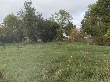 pâture à louer
