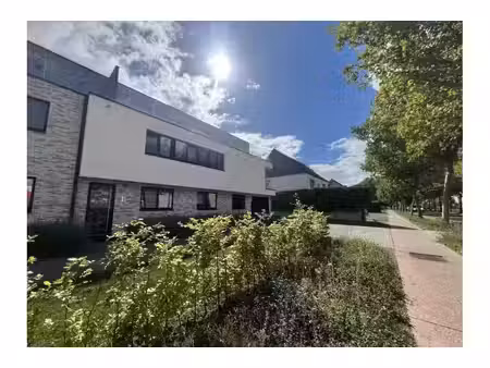 appartement à louer à mechelbaan 763 putte (rbw88695)