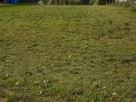 terrain constructible saint-françois-lacroix 57970
