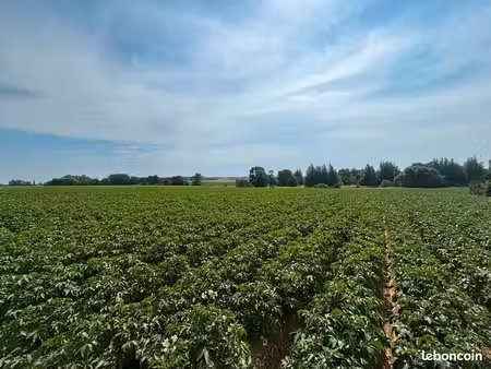 25 terrains à bâtir - steenvoorde