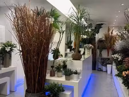 local 137 m²