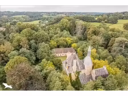 vente maison 11 pièces 600 m² à briantes (36400)  430 500 €
