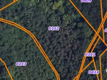 forêts plus prairie