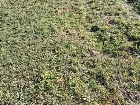 terrain a batir