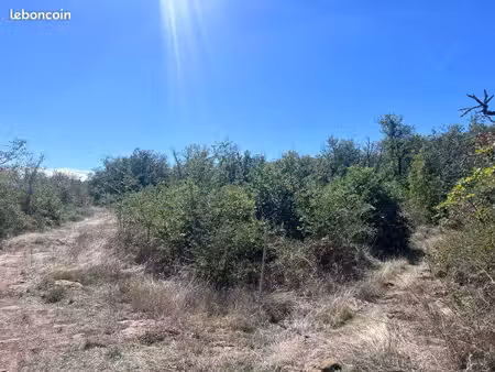 terrain bois