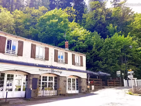 restaurant avec licence iv à vendre – saint-nectaire / puy-de-dôme / sancy / auvergne