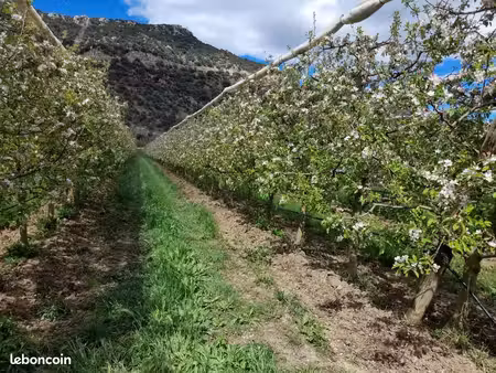 don terres agricoles   vergers pommiers  poiriers..