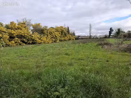 terrain agricole forage