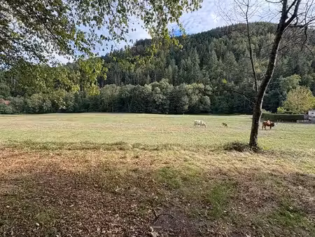 terrain non constructible   foret   prés