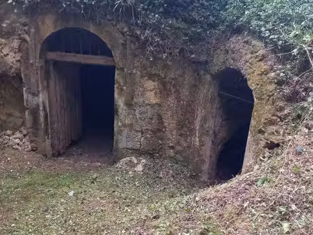 cave à vendre