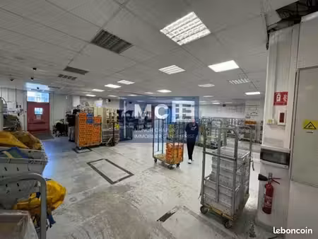 local d'activite 642 m² lingolsheim