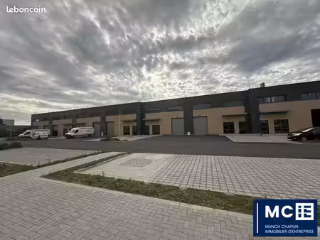 local d'activite 568 m² molsheim