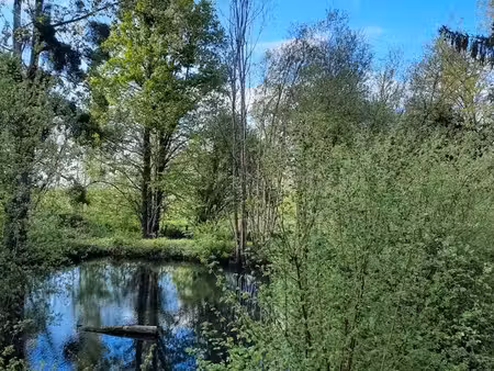 terrain de loisirs