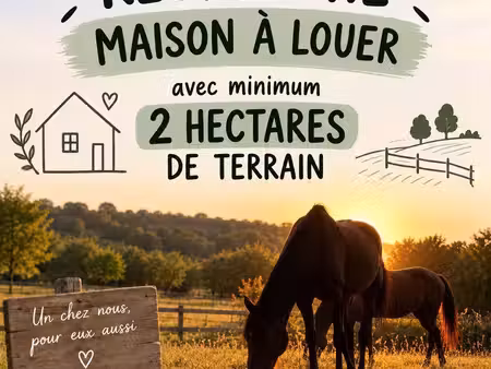 recherche maison à louer