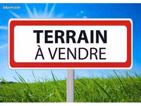 terrain constructible