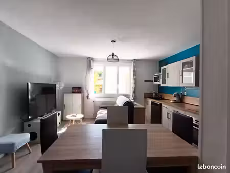 appartement rdc albi