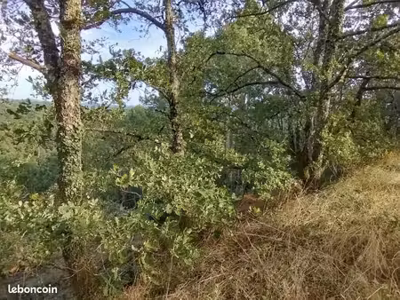 forêt 1 730 m² castres