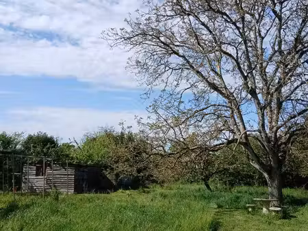 terrain verger potager
