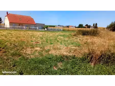 terrain constructible