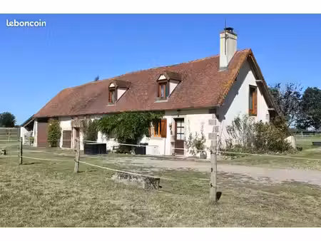 propriété équestre élevage canin et equin haras sans voisin