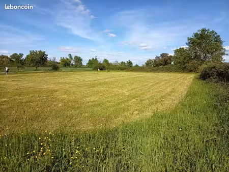 terrain constructible