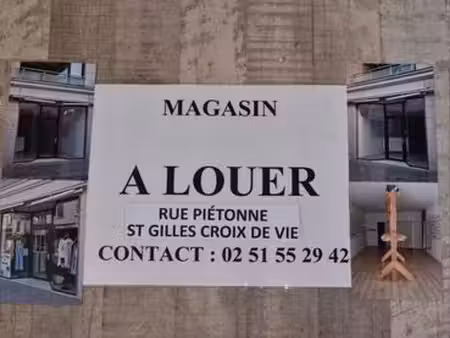 location magasin rue pietonne