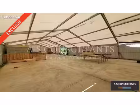 local d'activite 600 m² félines